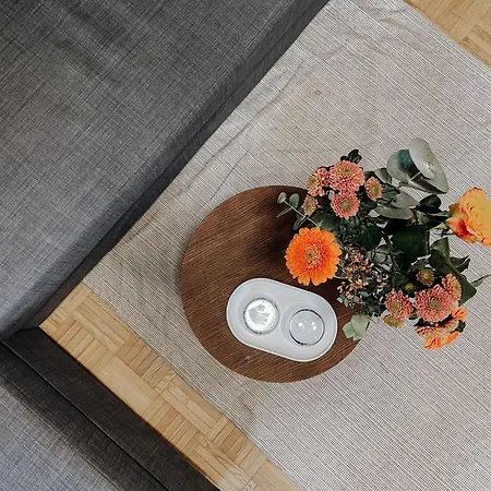 Traunsee Design For 2 People דירה