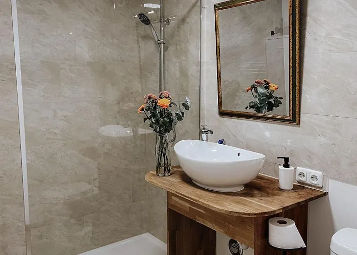 Traunsee Design For 2 People 公寓